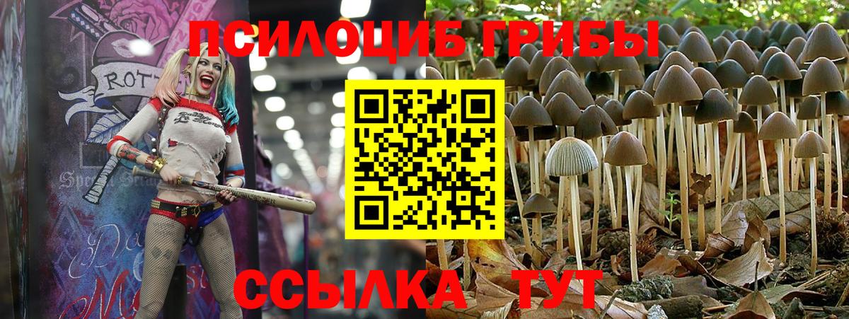 Псилоцибиновые грибы Magic Shrooms  Вход с VPN  Алексеевка 