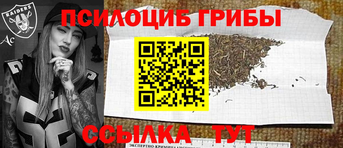 Псилоцибиновые грибы Psilocybine cubensis Алексеевка